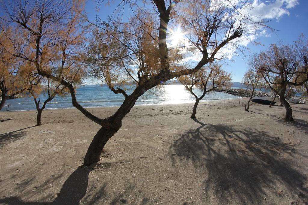 Villa Mandalinic Omiš Esterno foto